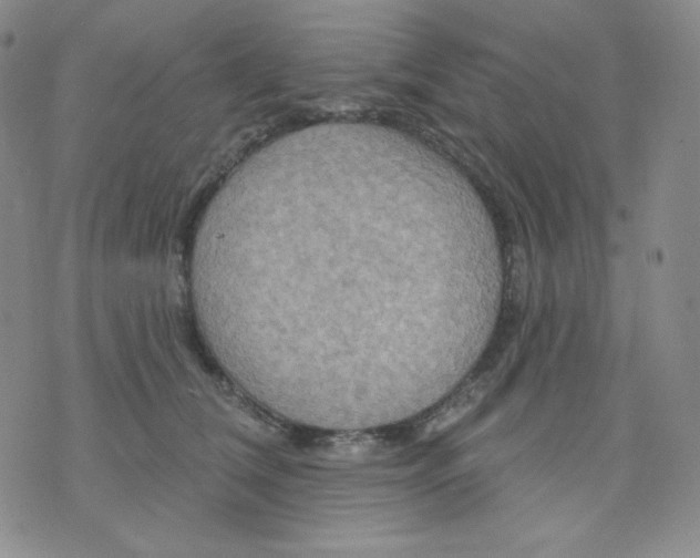 X0000071850612200607211854