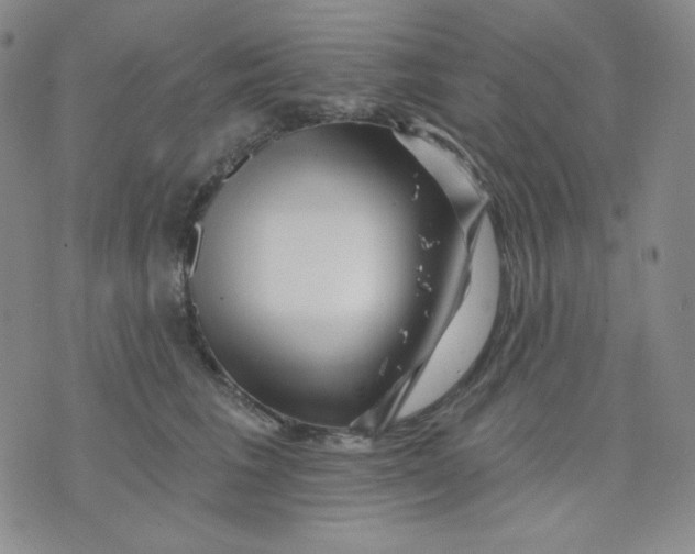 X0000071850613200607211854