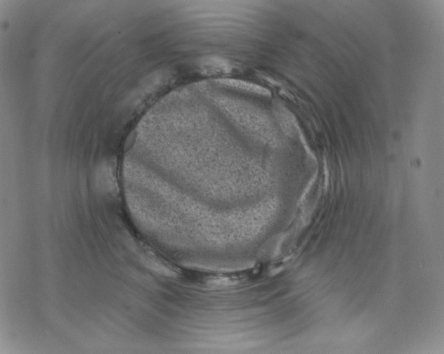 X0000071850616200607211854