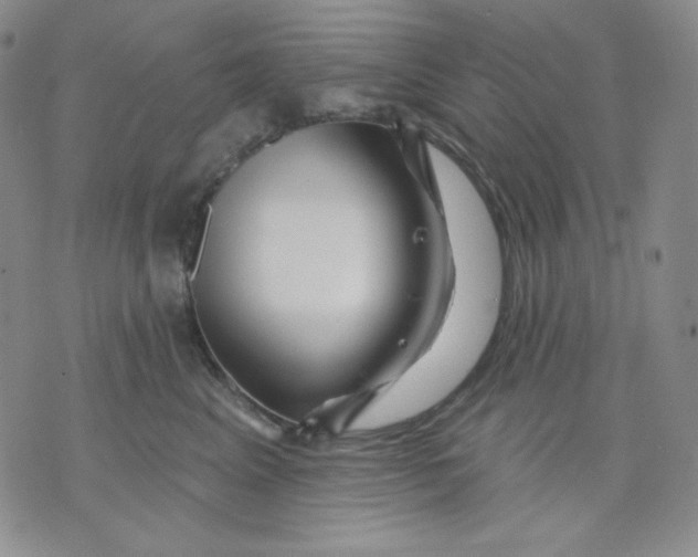 X0000071850617200607211854