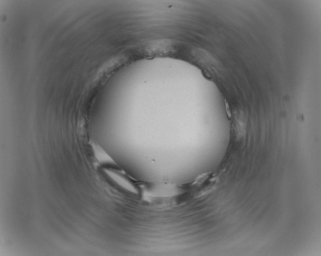 X0000071850619200607211854