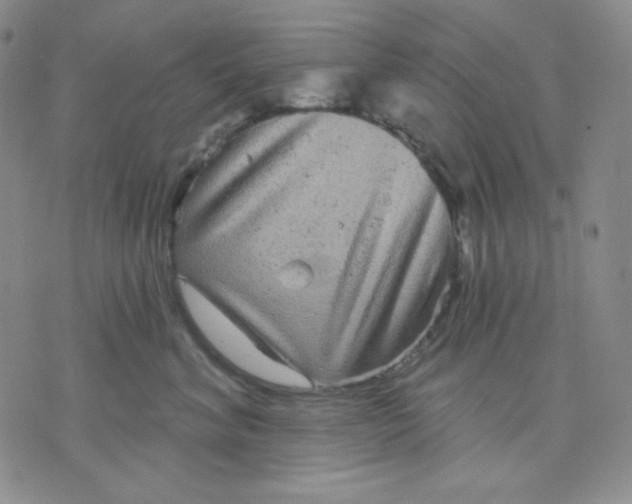 X0000071850620200607211854