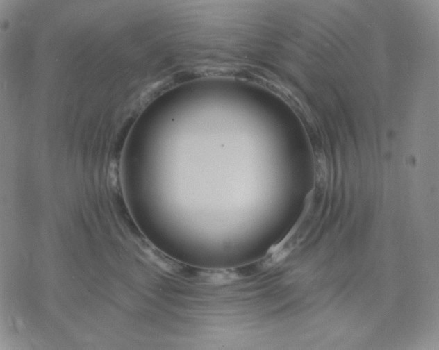 X0000071850621200607211854