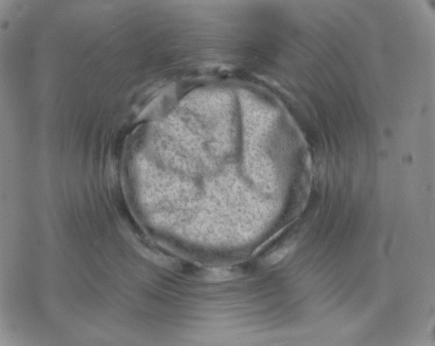 X0000071850623200607211854