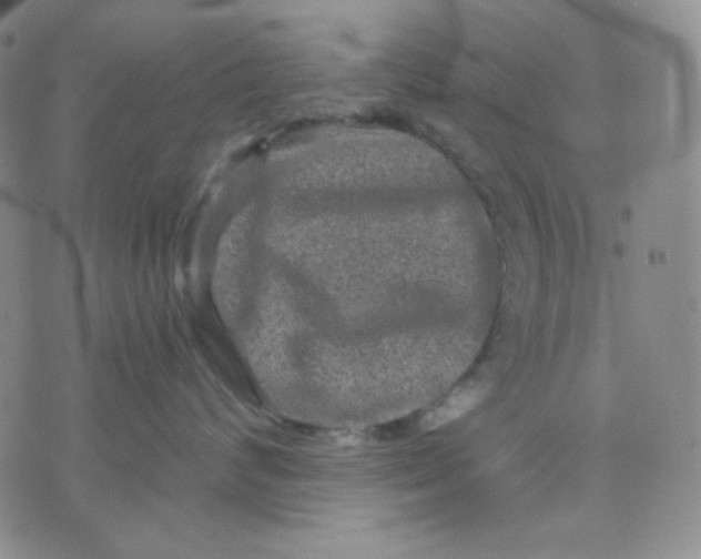 X0000071850624200607211854