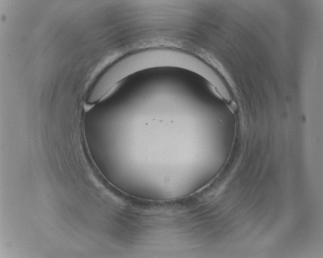 X0000071850625200607211853