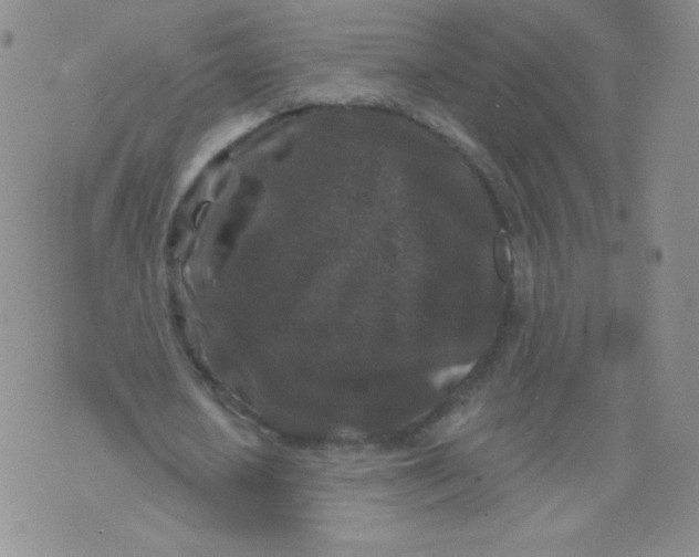 X0000071850626200607211853