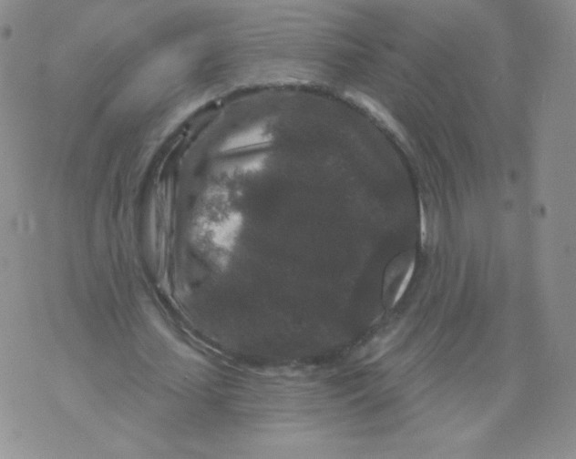 X0000071850627200607211853