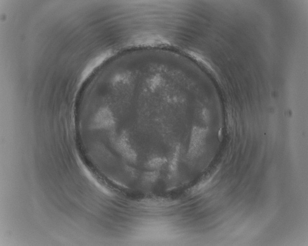 X0000071850630200607211853