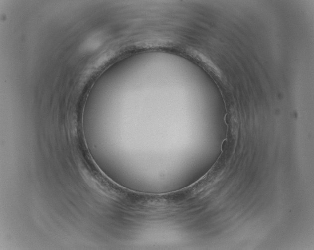 X0000071850631200607211853