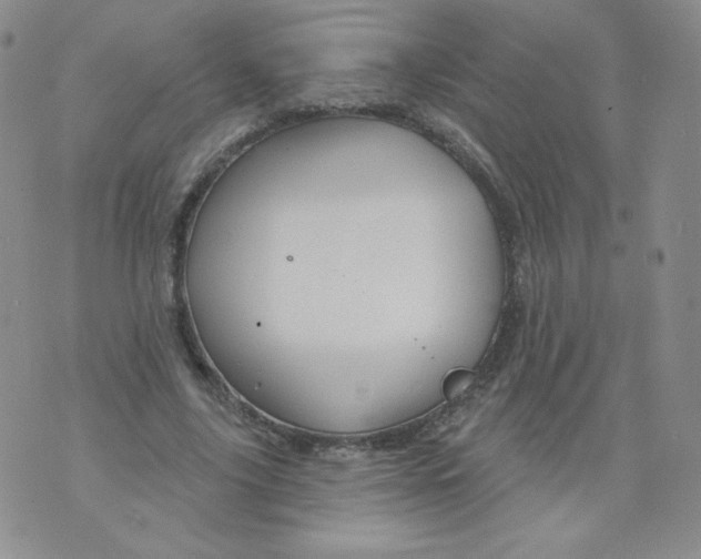 X0000071850635200607211853