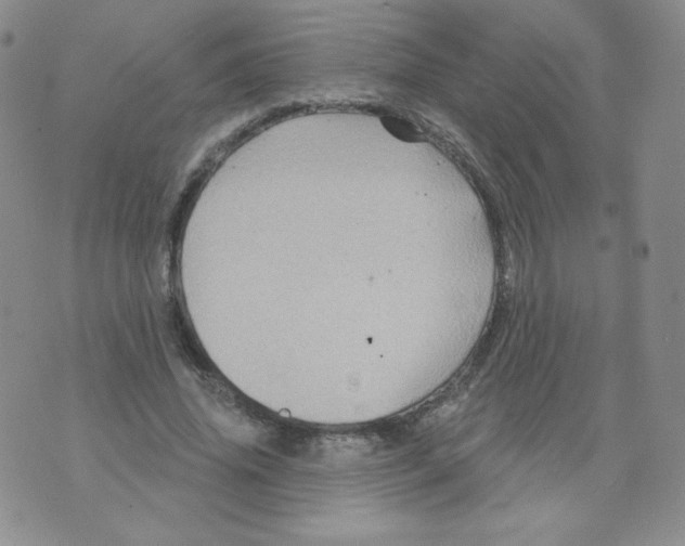 X0000071850636200607211853