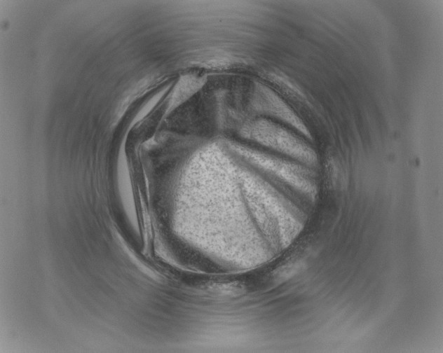 X0000071850638200607211853