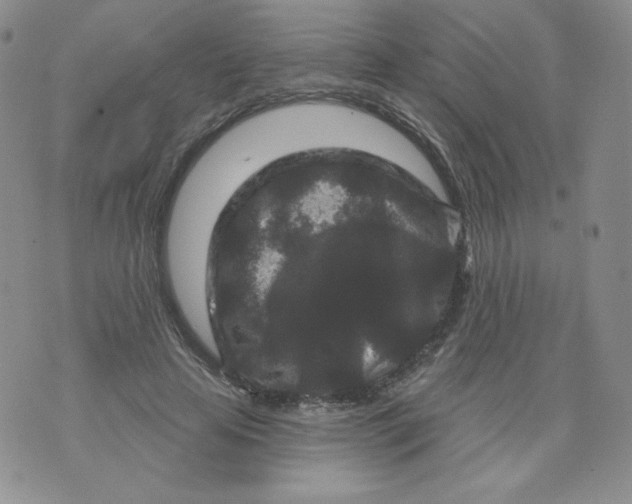 X0000071850641200607211853