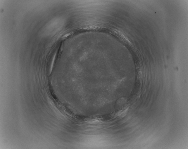 X0000071850643200607211853