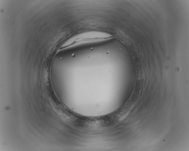 X0000071850646200607211853