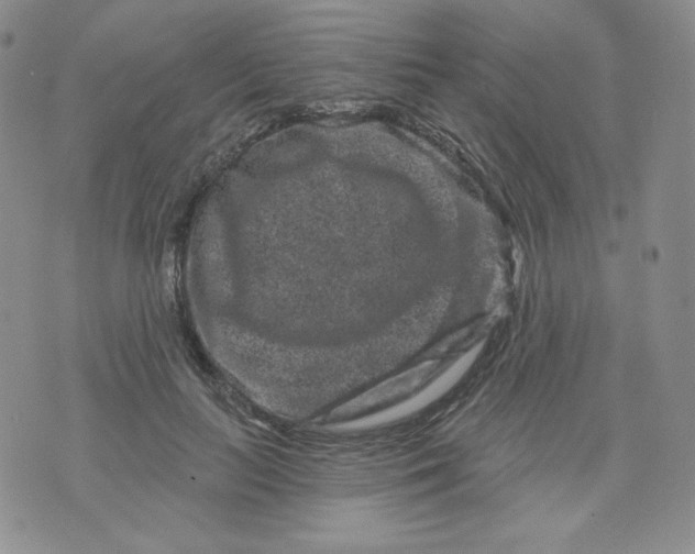 X0000071850647200607211853