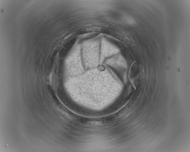 X0000071850649200607211853