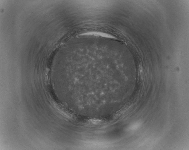 X0000071850650200607211853