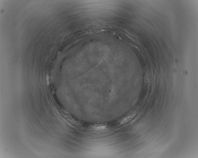 X0000071850651200607211853