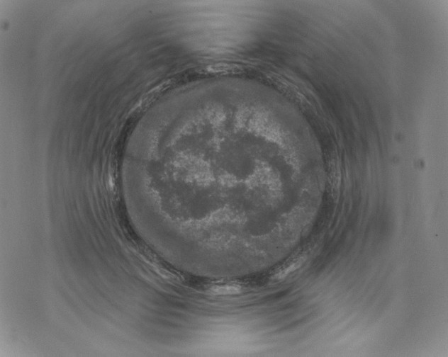 X0000071850653200607211853