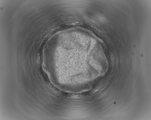 X0000071850657200607211853