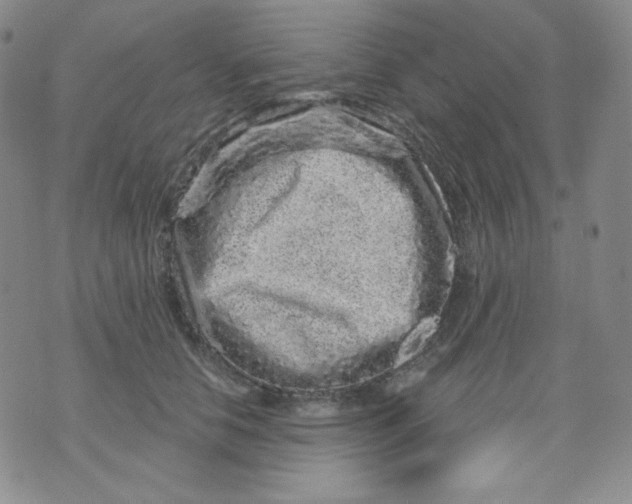 X0000071850658200607211853