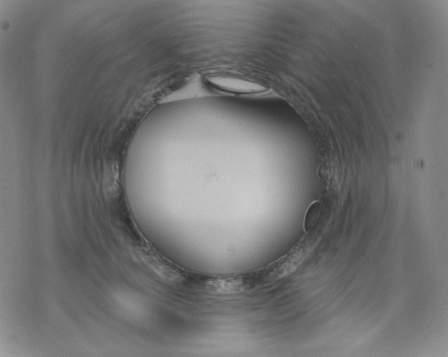 X0000071850660200607211853