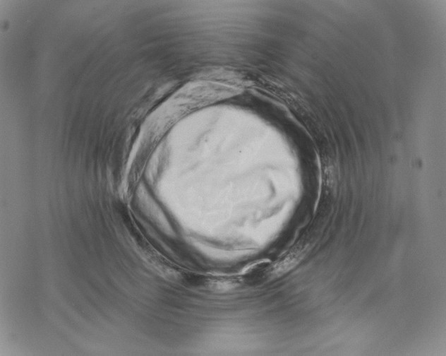 X0000071850662200607211853