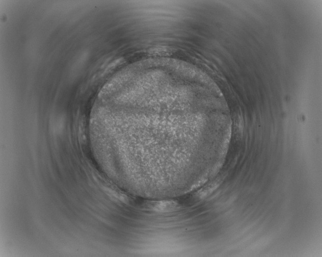 X0000071850663200607211853