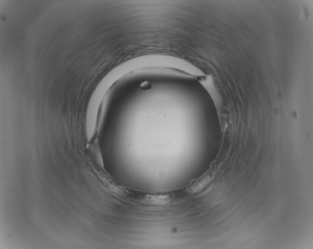 X0000071850665200607211853