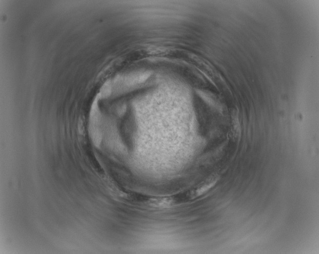 X0000071850667200607211854