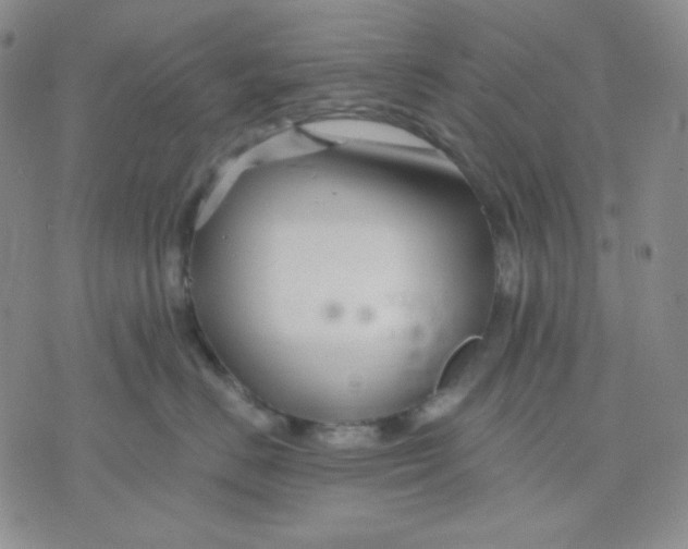 X0000071850670200607211854