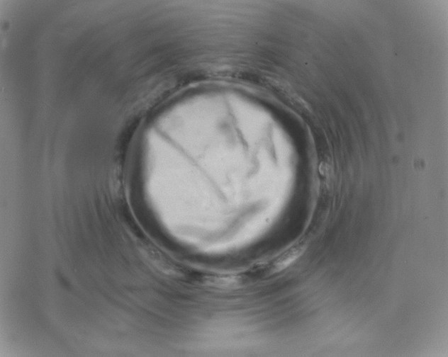 X0000071850671200607211854