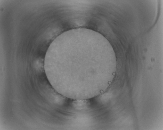 X0000071850672200607211854