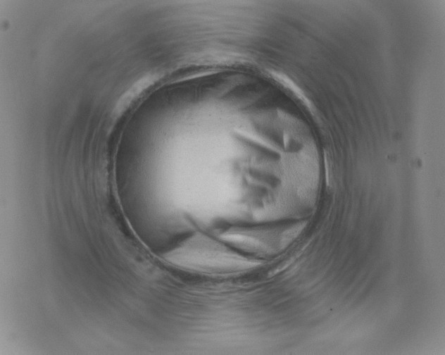 X0000071850675200607211853