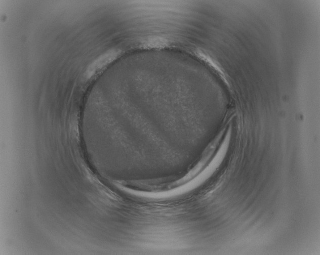 X0000071850681200607211853