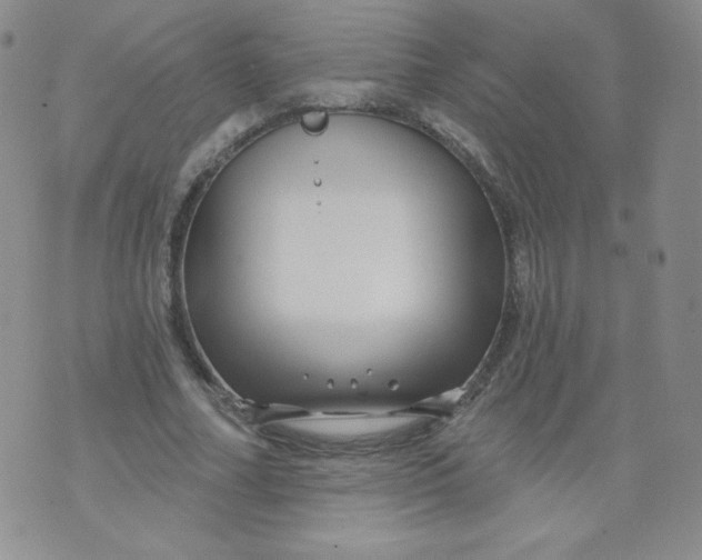 X0000071850682200607211853