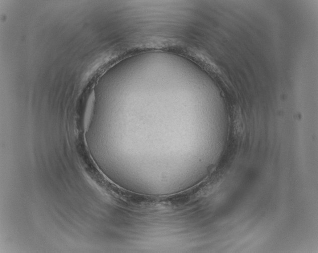 X0000071850683200607211853