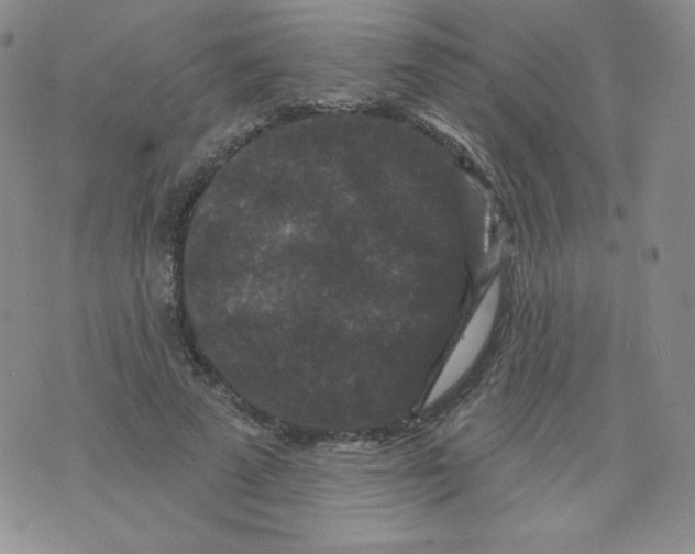 X0000071850689200607211853