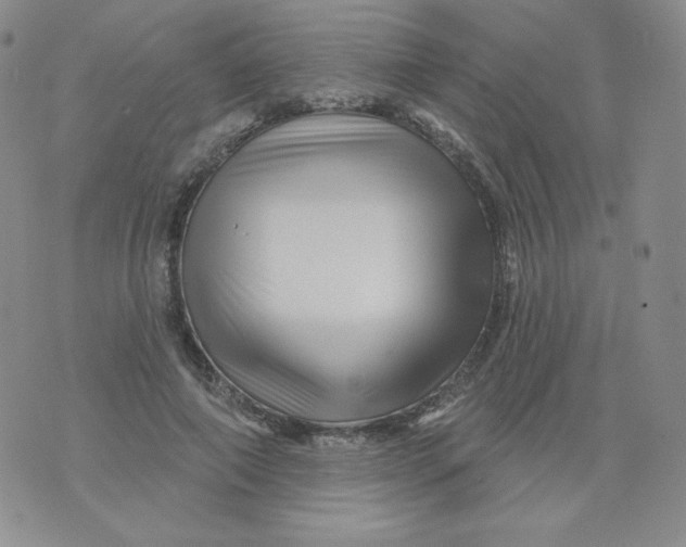 X0000071850690200607211853