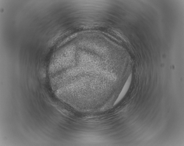 X0000071850691200607211853