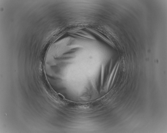 X0000071850692200607211853