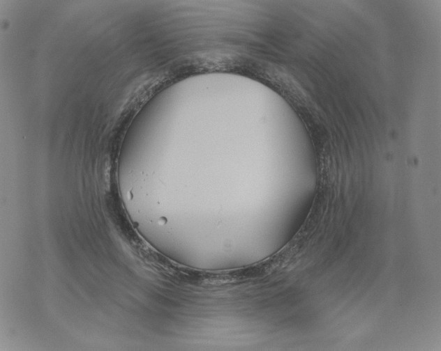 X0000071850694200607211852