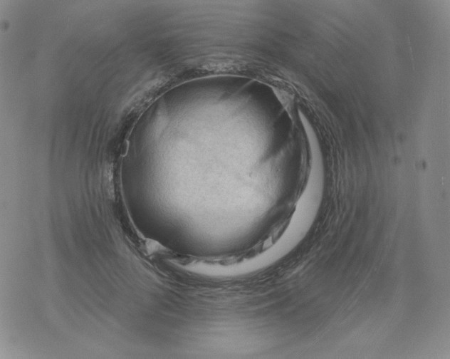 X0000071850696200607211852