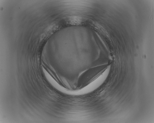 X0000071850697200607211852