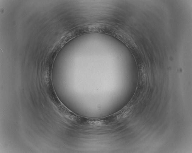 X0000071850698200607211852