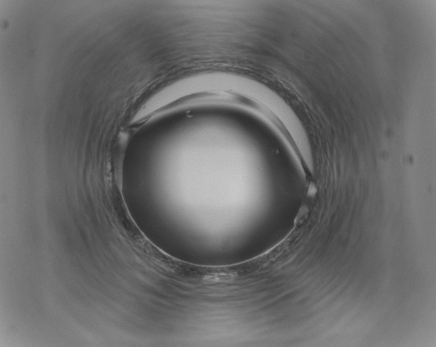 X0000071850700200607211852