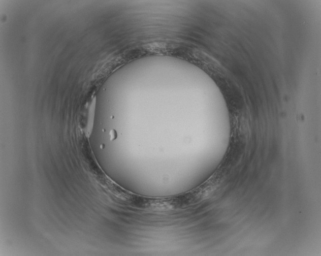 X0000071850702200607211852