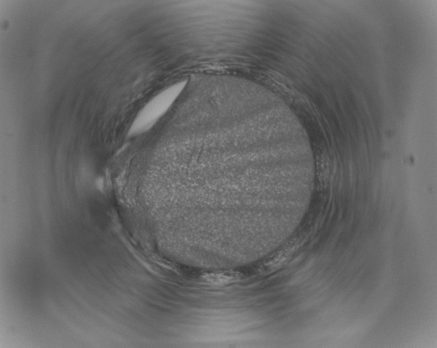 X0000071850703200607211852